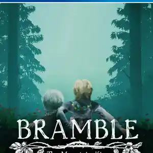 Игра Bramble the mountain king для PS-4 / 6.72 / 9.00 / 11.00 / 11.52 / 13.00 /, Душанбе