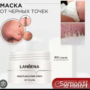 Ламбена для чорных точек, Душанбе