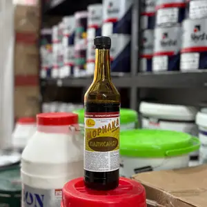 Морилка, Душанбе