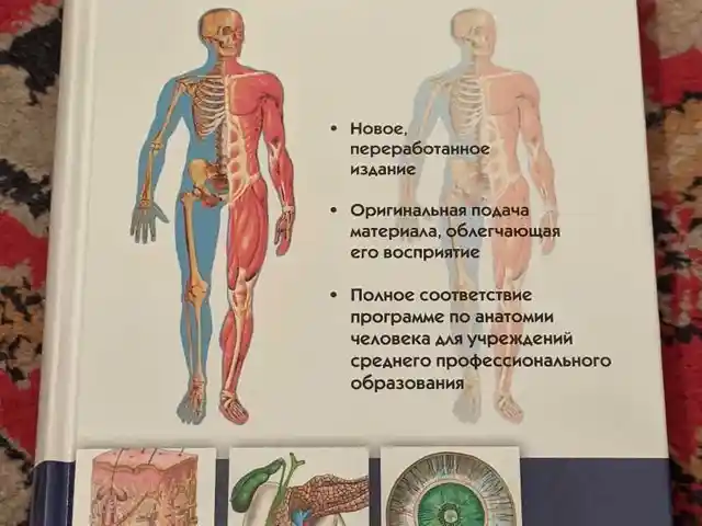 Книга Атлас анатомии человека, Душанбе