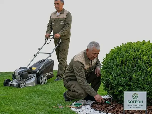 Услуги Садовника, Душанбе