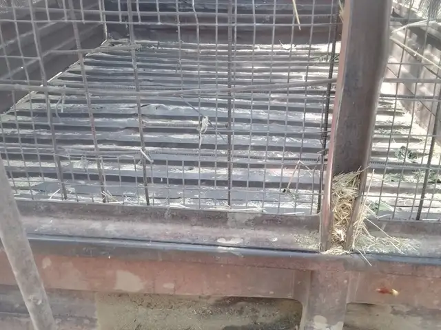 Прицеп, Куляб