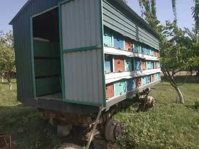 Вагон для пасеки, Душанбе