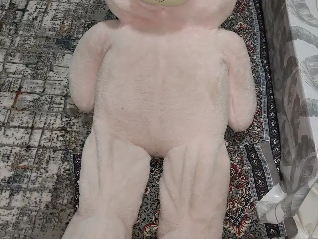 Мишка, Худжанд