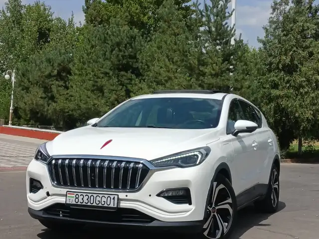 Hongqi E-HS3