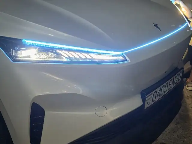 Dongfeng Hedmos 06