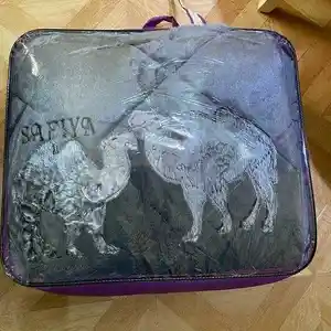 Одеяло верблюжье, Душанбе