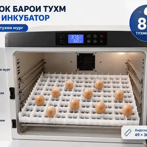 Лотоки тухм барои инкубатор 88 тухми мурғ, Душанбе