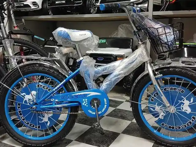 Велосипед, Душанбе