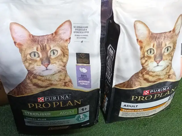 Корм для кошек, Худжанд