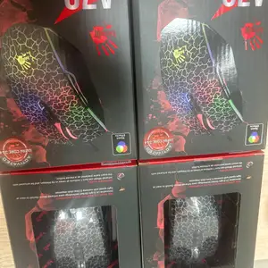 Мышь BlooDi, Душанбе
