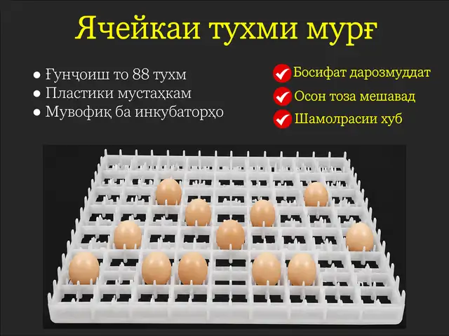Лоток/Флейка/Ячейкаи тухми мурғ барои инкубатор, Душанбе
