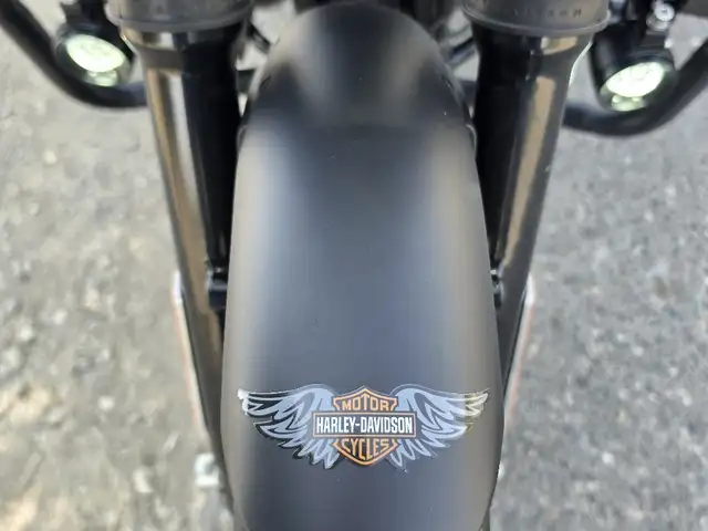 Мотоцикл Harley Davidson 883, Пенджикент - 4
