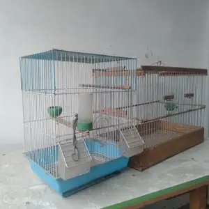 Клетка для птиц, Худжанд