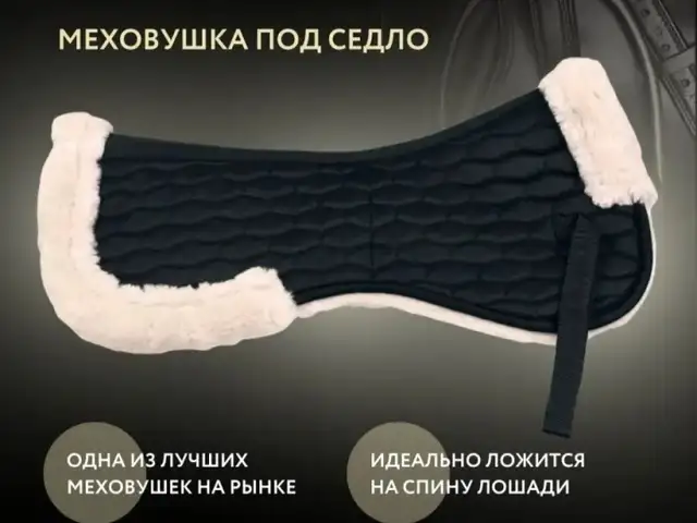 Меховушка барои таги зин, Душанбе