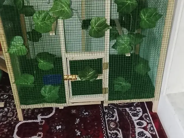 Кафас, Турсунзаде
