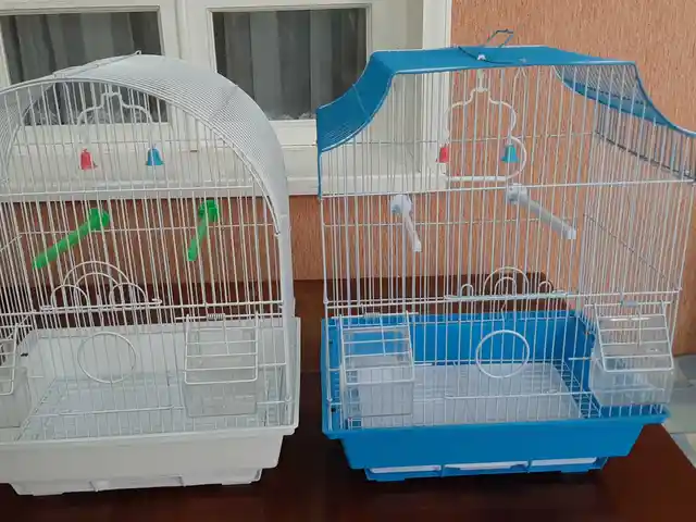 Клетки для птиц, Хуҷанд