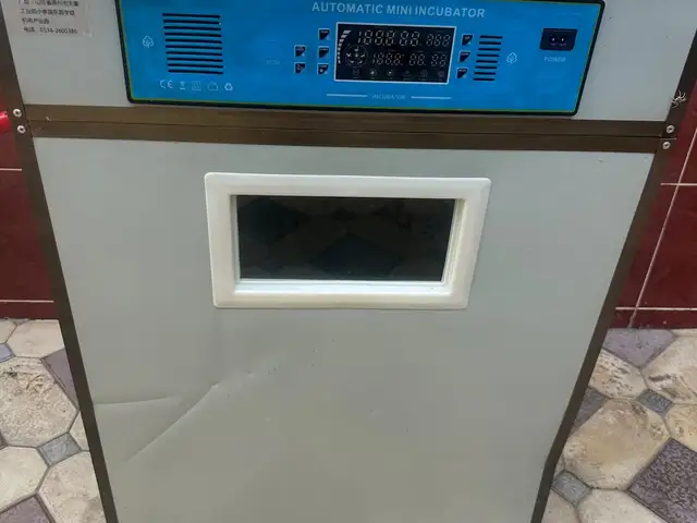 Инкубатор, Худжанд
