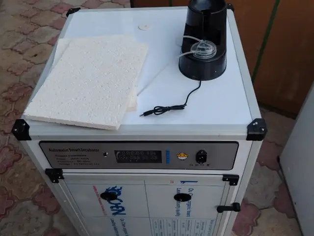 Инкубатор, Восе - 4