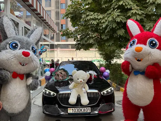 Аниматоры На Заказ Мишка, Душанбе