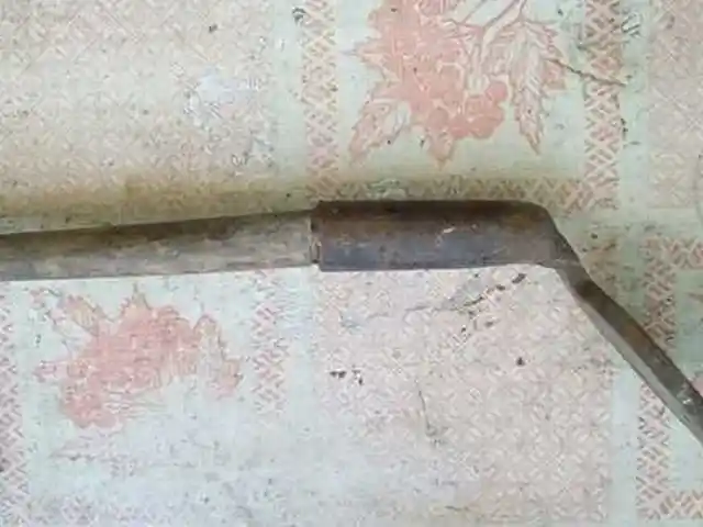 Сапожная лапка, Душанбе