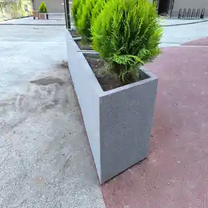 Кашпо, Душанбе