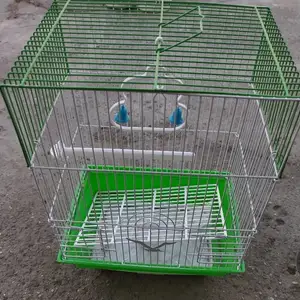 Клетка, Душанбе