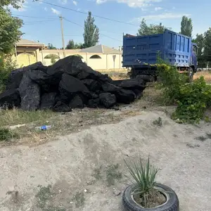 Кумур / Ангишт, Айнӣ