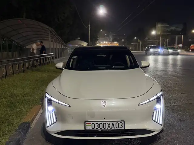 Dongfeng Forthing