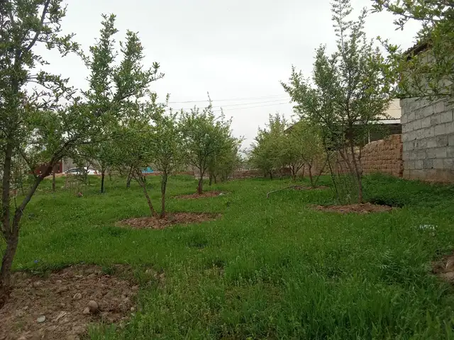 1 этажн. 3-комн. дом, 16 сотка ,дехаи чортут, Дангара