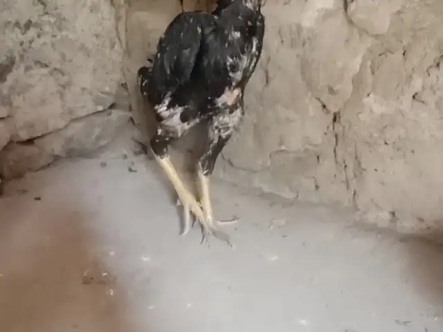 Дакан, Фархор