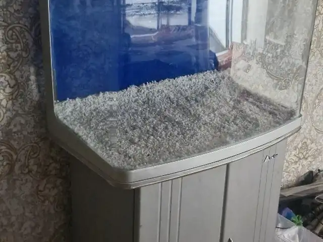 Аквариум, Кӯлоб