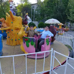 Карусель чашка, Душанбе