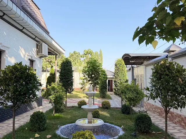 Дарахтони Ороиши барои Хавлихо, Душанбе