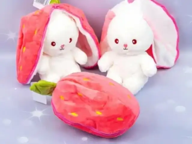 Кролик игрушка, Истаравшан