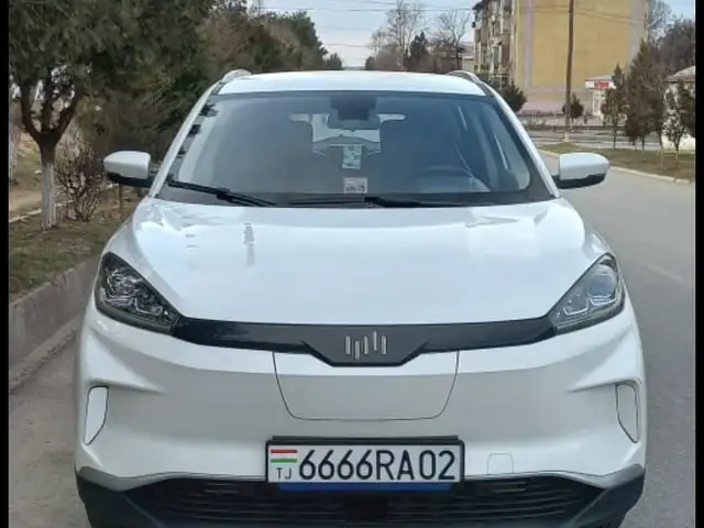 Weltmeister EX5