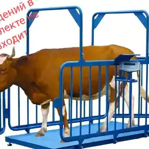 Весы для животных, Душанбе