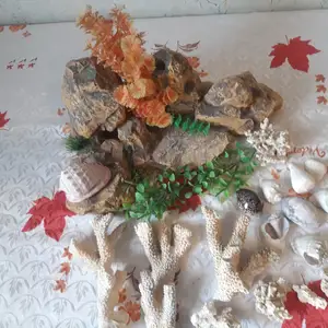 Аксессуары для аквариума, Бустон (Чкаловск)