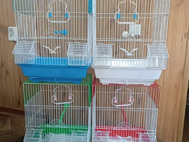Клетка для птиц, Душанбе