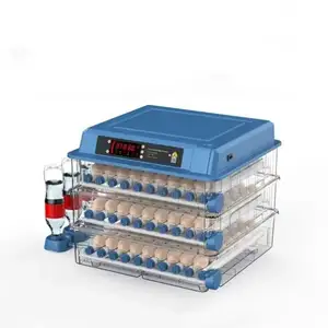 Инкубатор 300, Душанбе