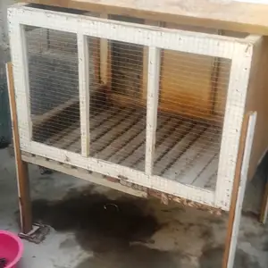 Хона барои харгуш, Худжанд