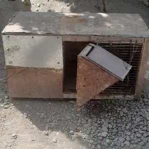 Домик для кролика, Душанбе