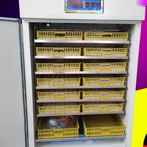 Инкубатор, Душанбе