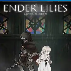 Игра Ender lities quietus of the knighta для PS-4 / 6.72 / 9.00 / 13.00 /, Душанбе