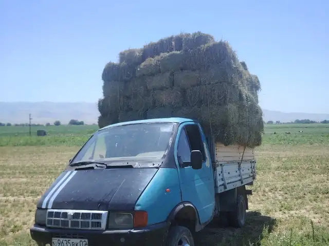 Бортовой автомобиль Газель, 1999, Матча
