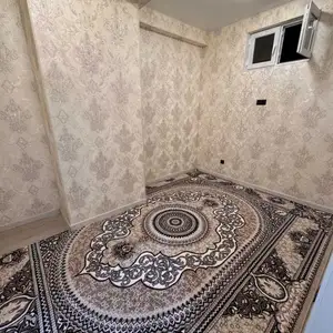 Колин, Душанбе