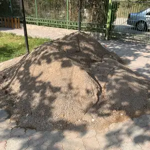 Шагал барои стяжка, Худжанд