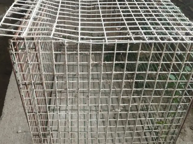 Клетка, Душанбе