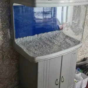 Аквариум, Куляб