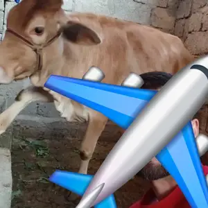 Гов, Душанбе